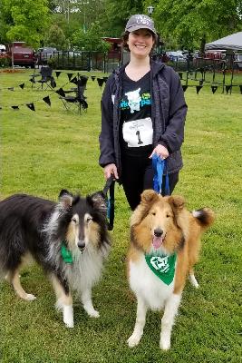 Bark 2019
